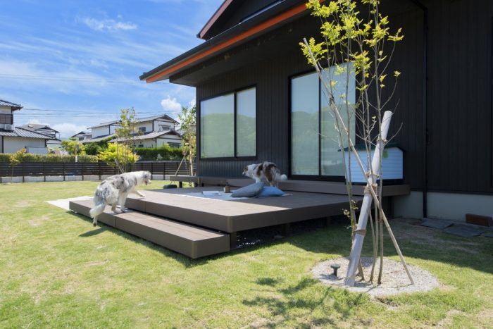 ペットと安心して過ごせる!快適なお庭づくりのポイント - GardenJournalGarden journal|ガーデンジャーナル