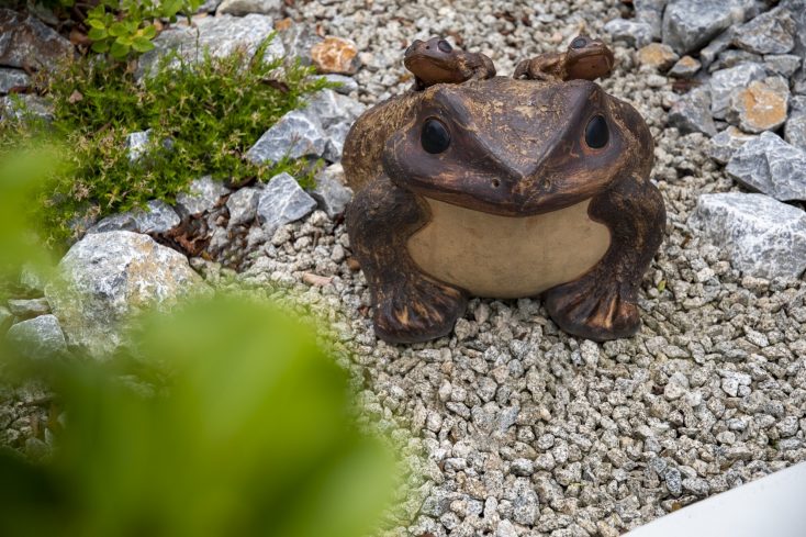 雑草対策をしながらリハビリにもなる床材