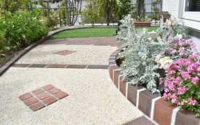 この花来年も花開く？一年草・多年草の違い