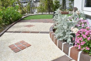 この花来年も花開く？一年草・多年草の違い
