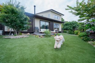 お庭で遊んで健康に！ワンちゃんのためのお庭とは？
