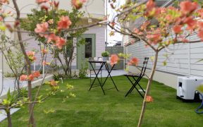 花粉症対策はお庭から｜外構でできる春の花粉対策アイデア