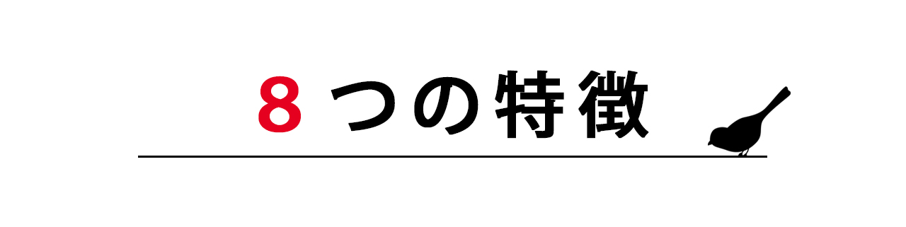 グランドアートウォール 8つの特徴