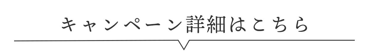 キャンペーンの詳細