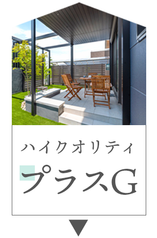 プラスGの施工例