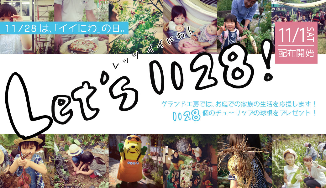 グランド工房 レッツいいにわ キャンペーン 1128個のチューリップの球根を各店でプレゼント