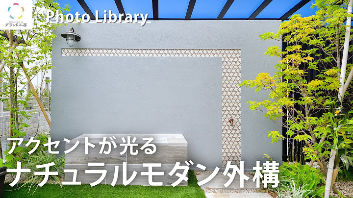 Youtube動画の紹介（20251205）（新宮店）