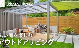 動画紹介（20251217）