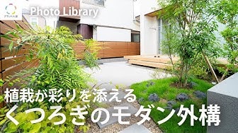 Youtube動画の紹介（20251216）（新宮店）