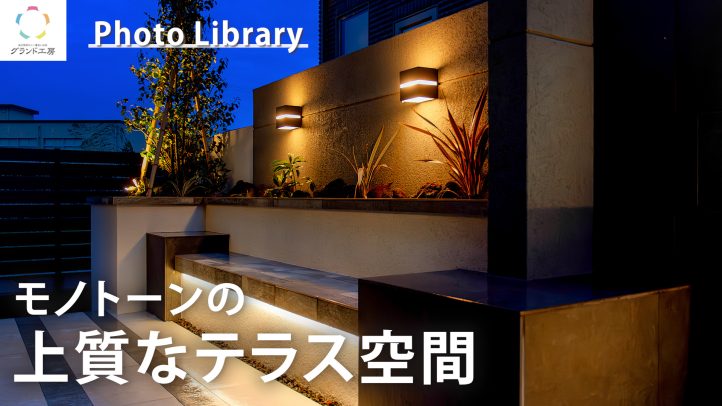 Youtube動画の紹介（20251219）（新宮店）