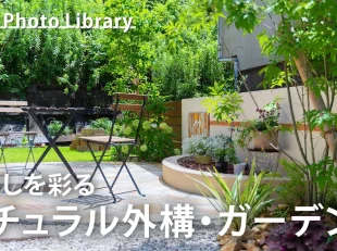 Youtube動画の紹介（20251220）（新宮店）