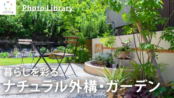 Youtube動画の紹介（20251220）（新宮店）