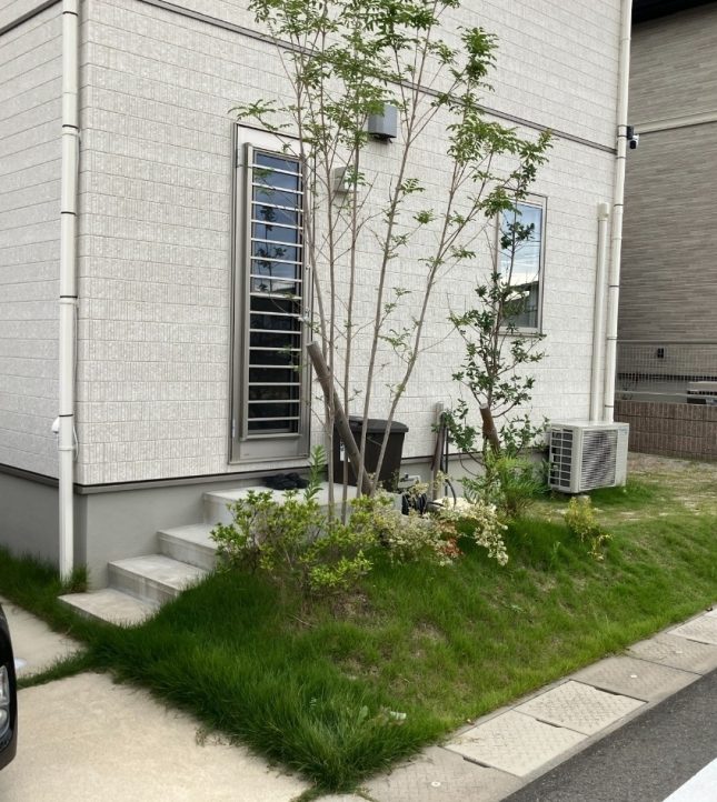 施工前 天然芝法面