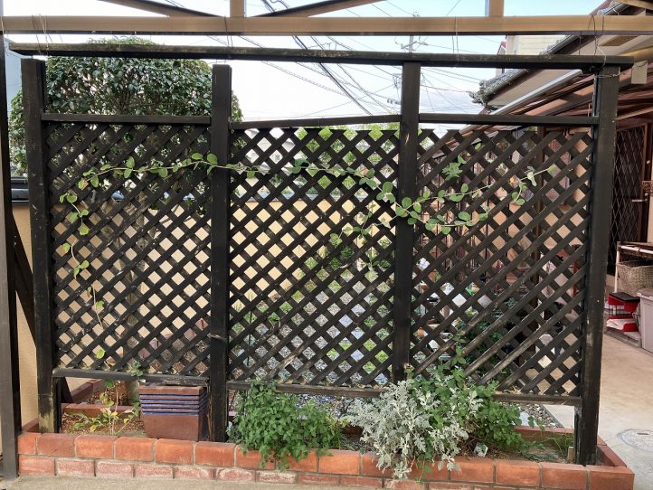 宗像市　天然木ラチスフェンス約20年前の施工