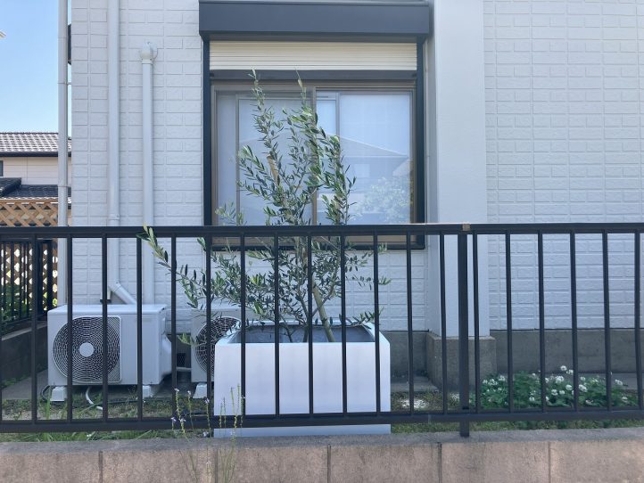 植木とプランター