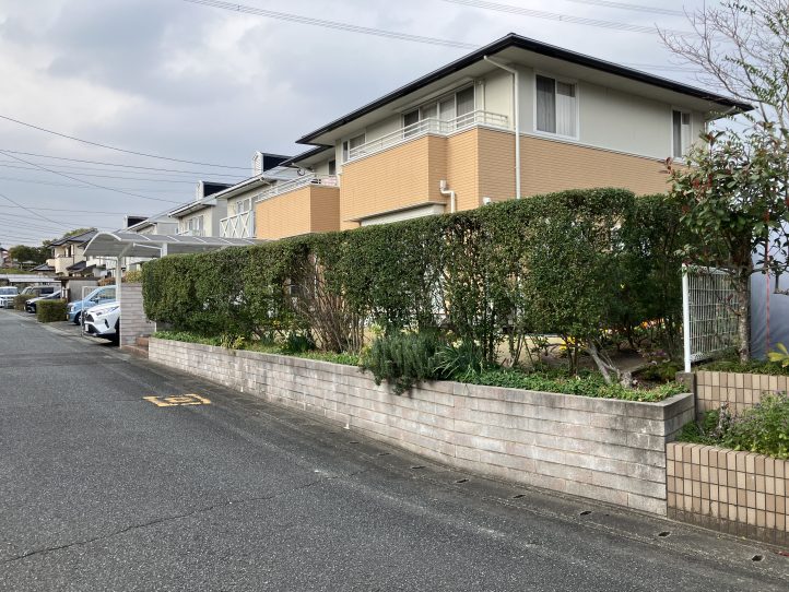 既存生垣あり