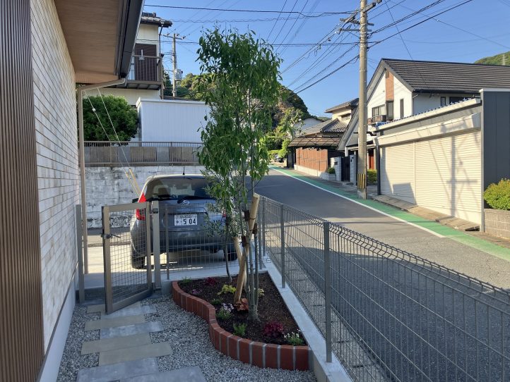 オリーブ、ナナミノキ
