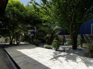 琉球石灰岩のアプローチ