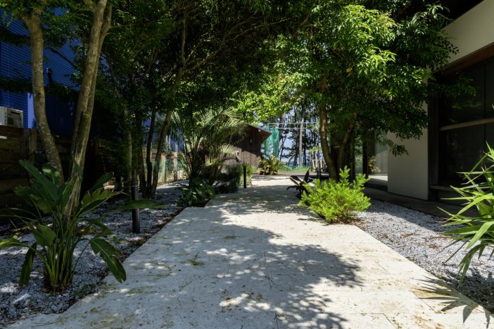 樹木の影が落ちるアプローチ