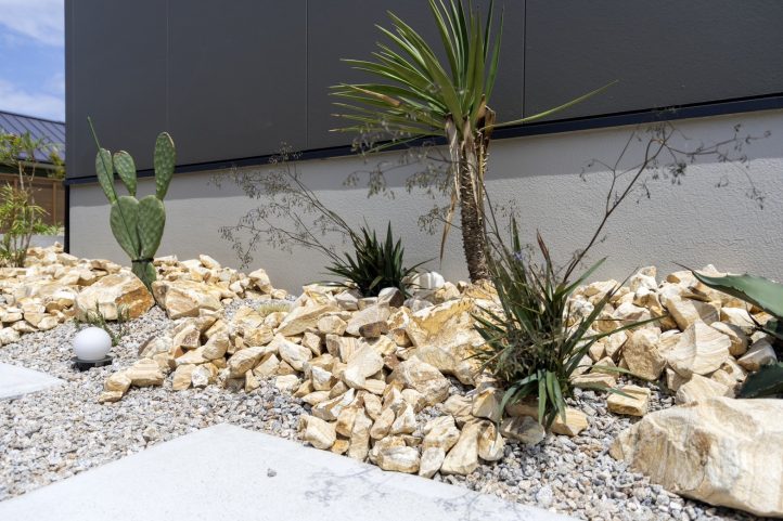 南国植栽とナチュラルロック