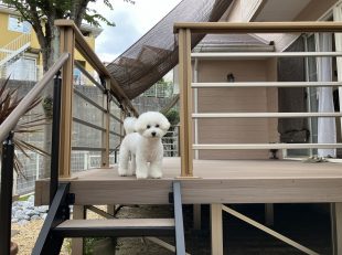 グランド工房　ガーデン改修　ウッドデッキ　デッキDC　砂利　生垣　防草対策