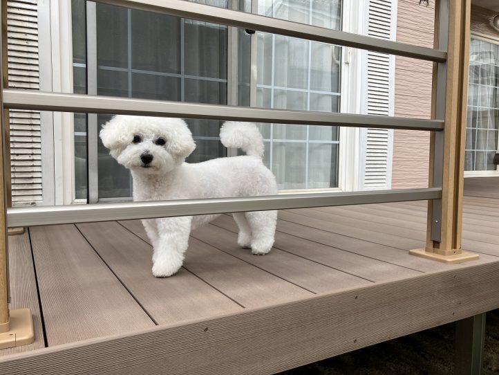 グランド工房 ガーデン改修 ウッドデッキ デッキDC 砂利 生垣 防草対策 ワンちゃん 犬