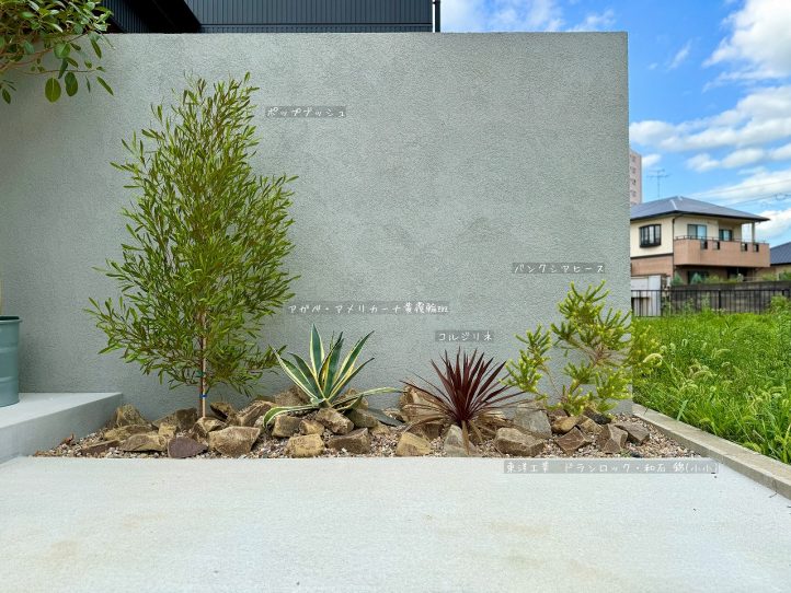 ロックガーデン ポップブッシュ アガベ コルジリネ バンクシア 東洋工業