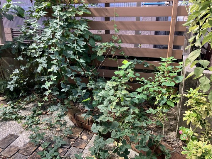 施工例　施工前