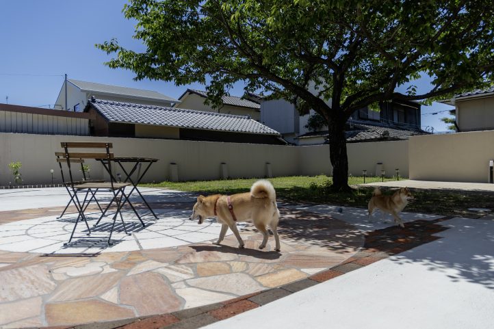 自然石でデザインわんちゃんが遊べるお庭