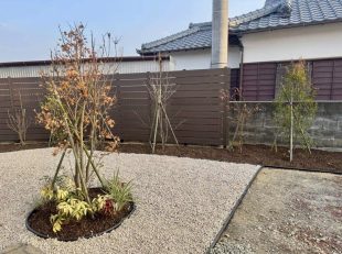 エゴノキ　コハウチワカエデ　ブルーベリー　アオハダ　ツリバナ