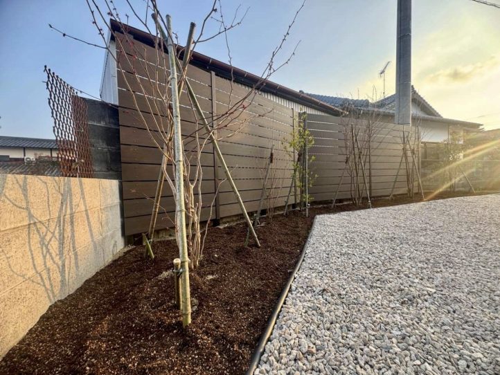 ギンバイカ　マルバノキ　オトコヨウヅメ　カラタネオガタマ　ツリバナ