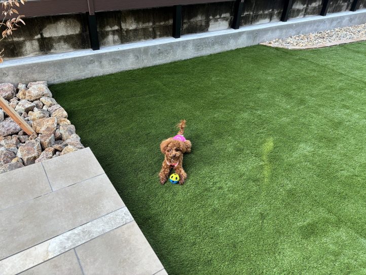 人工芝、ドッグラン、庭、ガーデン