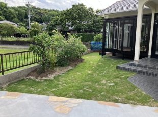 完成①