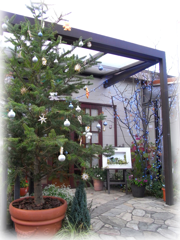 今年はヨーロッパ式 ホンモノのモミの木でクリスマスを エクステリア ガーデン 外構 造園 大分市 グランド工房