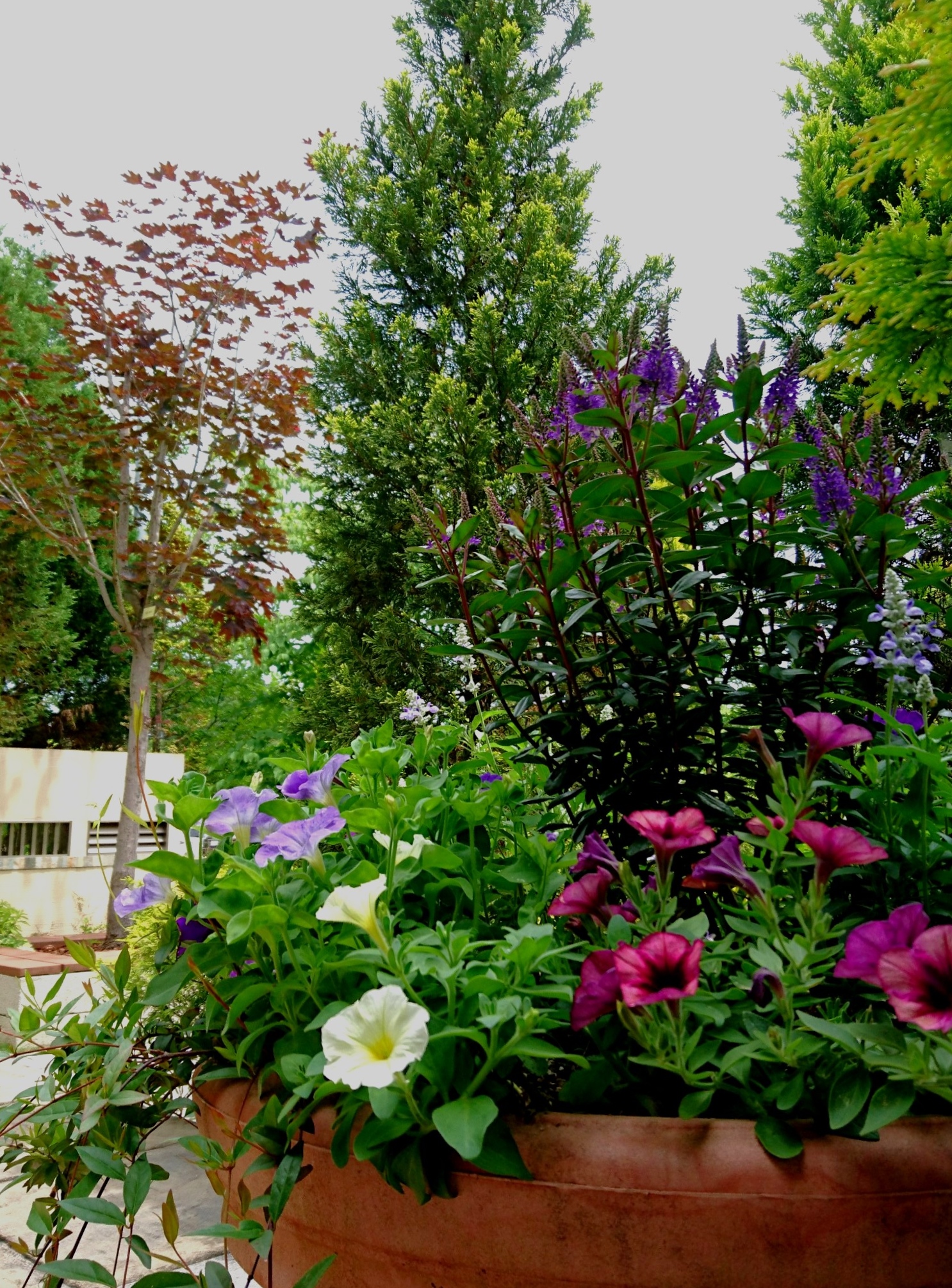 庭の花壇に花を植える エクステリア ガーデン 外構 造園 大分市 グランド工房