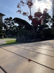 紅葉