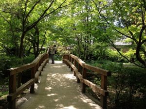 湯布院　金鱗湖　夏休み