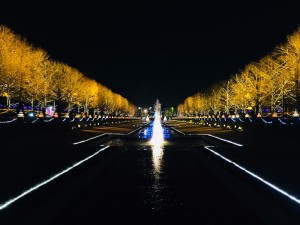 昭和記念公園　イルミネーション