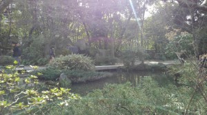 楽水園　池