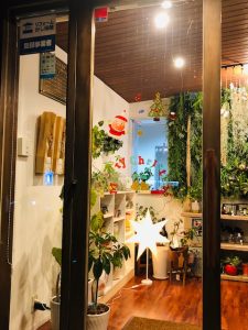 グランド工房横浜北店　クリスマスイルミネーション