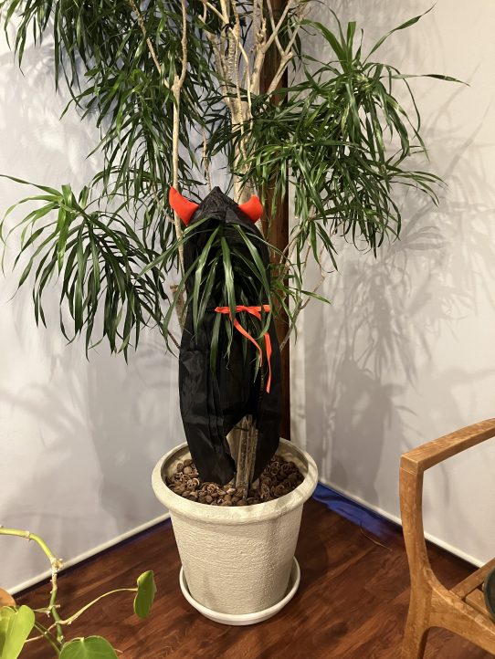 観葉植物、ハロウィン