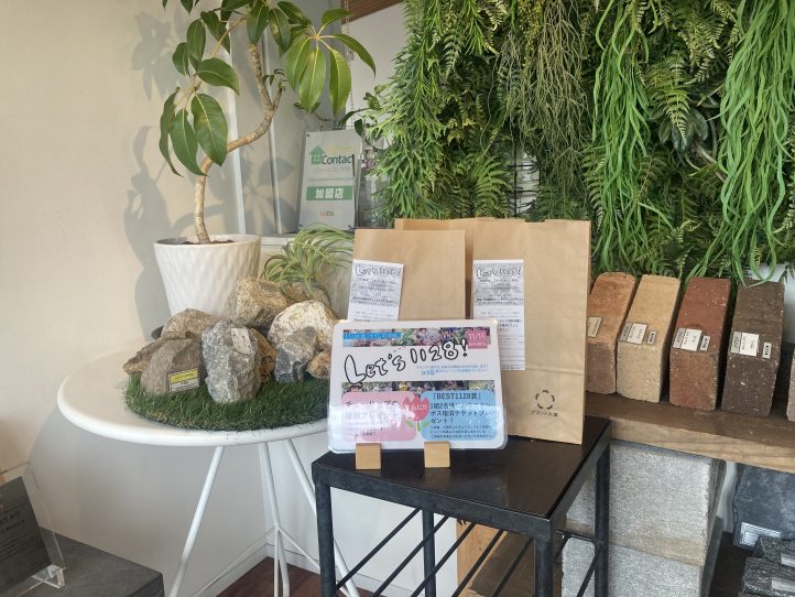 チューリップ、外構、お庭