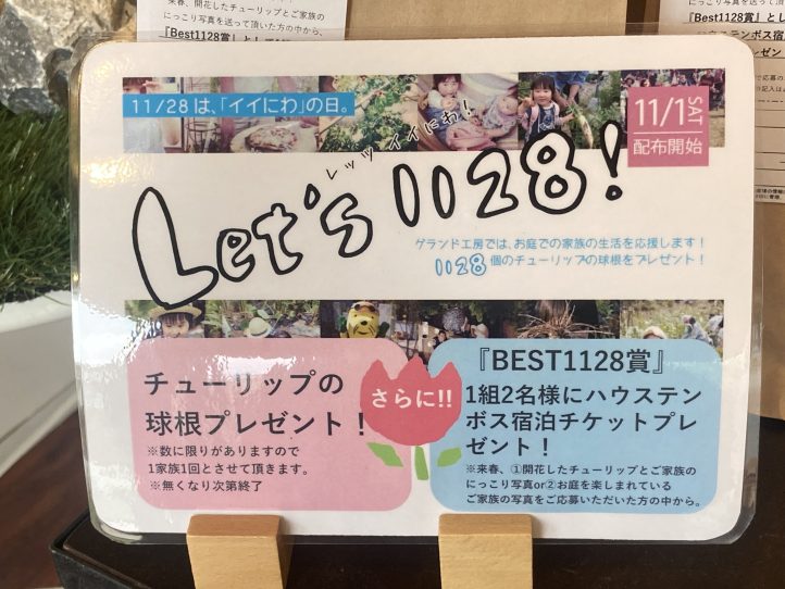 チューリップ、お庭、花壇