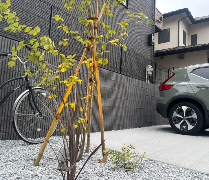 植栽帯の写真です。