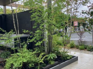 雨の日の展示場