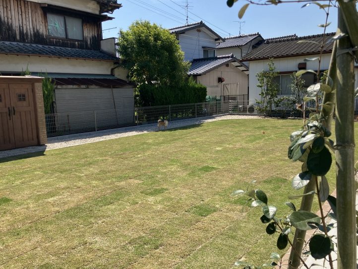 天然芝、ドックラン
