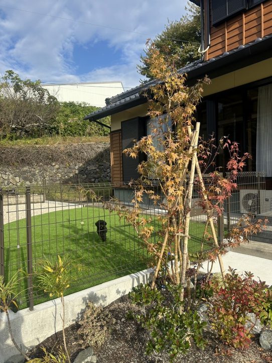 人工芝　ドッグラン