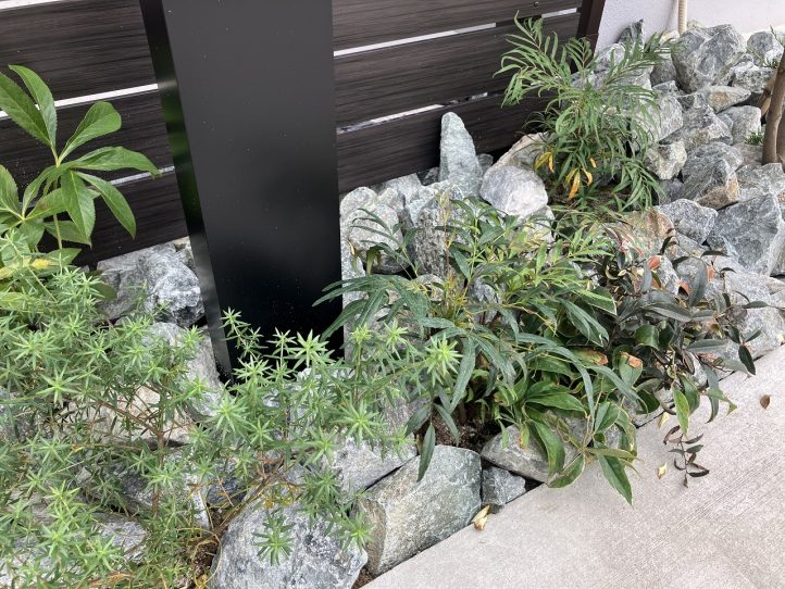 栗石と植栽のロックガーデン