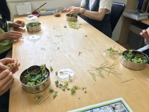 夏祭りイベント　カルチャー教室　多肉植物寄せ植え