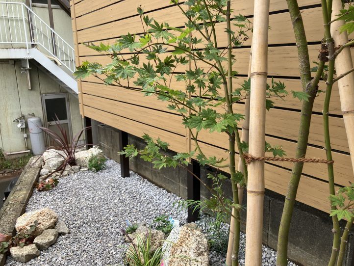 アースカラーの背景によく映えるコハウチワカエデ